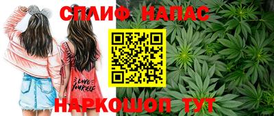 spice Партизанск