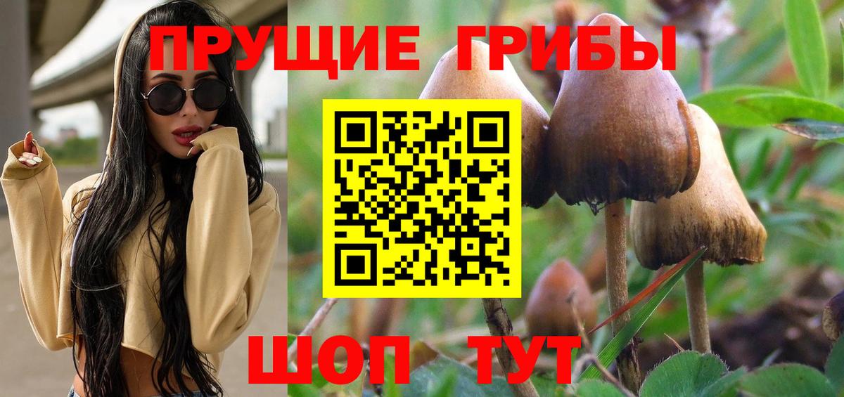 Галлюциногенные грибы ЛСД  Вход с VPN  Галлюциногенные грибы GOLDEN TEACHER  как найти наркотики  Славянск-на-Кубани 
